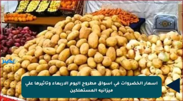 أسعار الخضروات في أسواق مطروح اليوم الأربعاء وتأثيرها على ميزانية المستهلكين
